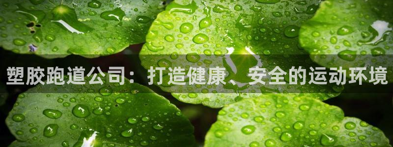 红足一1世平台：塑胶跑道公司：打造健康、安全的运动环境