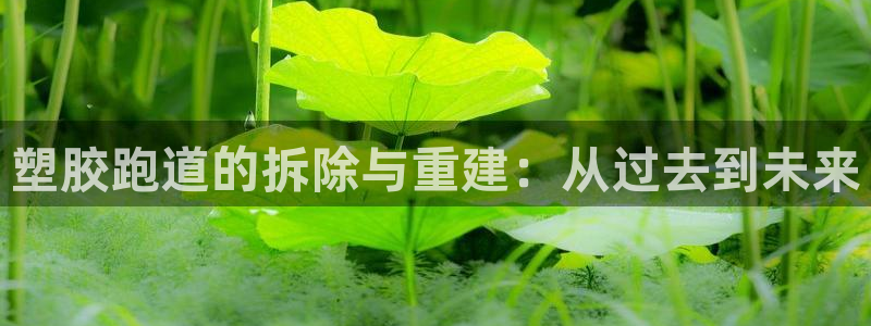 百度红足一1世：塑胶跑道的拆除与重建：从过去到未来
