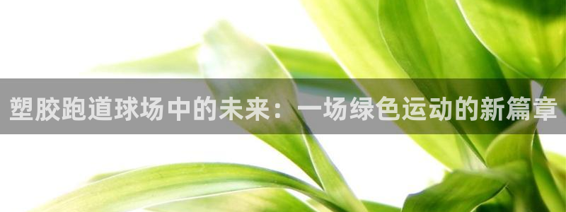 红足足球网：塑胶跑道球场中的未来：一场绿色运动的新篇章