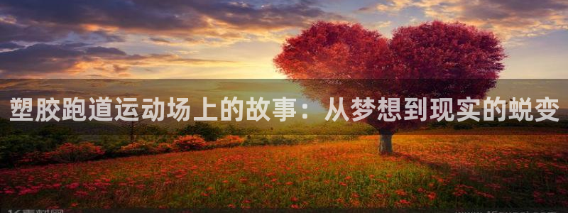 红足1世手足球比分：塑胶跑道运动场上的故事：从梦想到现实的蜕变