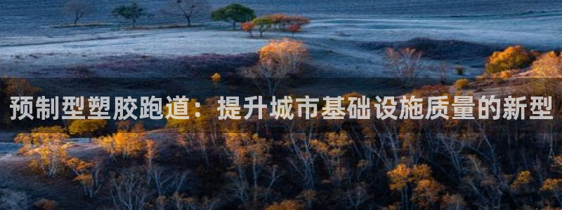 红足一1世平台：预制型塑胶跑道：提升城市基础设施质量的新型