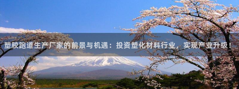 百度红足一1是什么样子的：塑胶跑道生产厂家的前景与机遇：投资塑化材料行业，实现产业升级！