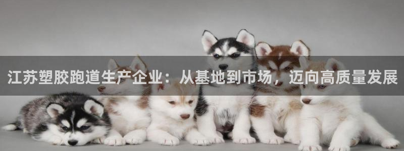红足一1世皇冠地址：江苏塑胶跑道生产企业：从基地到市场，迈向高质量发展