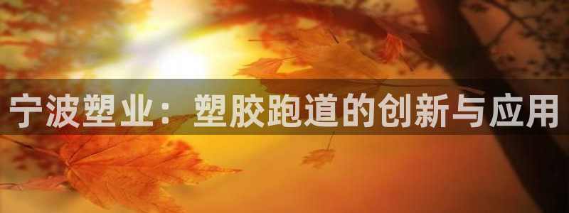 红足一球：宁波塑业：塑胶跑道的创新与应用