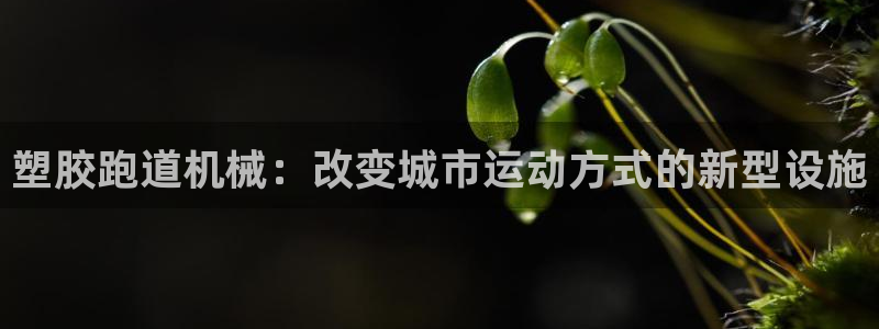 红足一1世666814足球：塑胶跑道机械：改变城市运动方式的新型设施