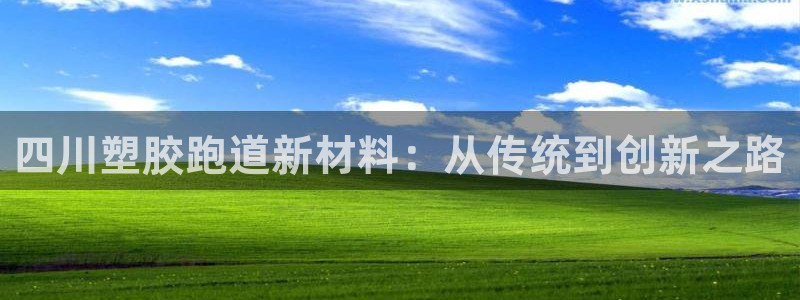 55814红足1世：四川塑胶跑道新材料：从传统到创新之路