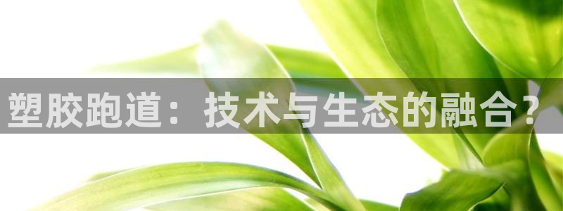新2足球平台出租网站：塑胶跑道：技术与生态的融合？