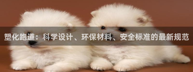 红足一比分网：塑化跑道：科学设计、环保材料、安全标准的最新规范
