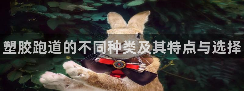 红足一1世：塑胶跑道的不同种类及其特点与选择