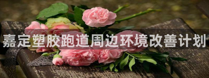 红足1世开奖预测：嘉定塑胶跑道周边环境改善计划