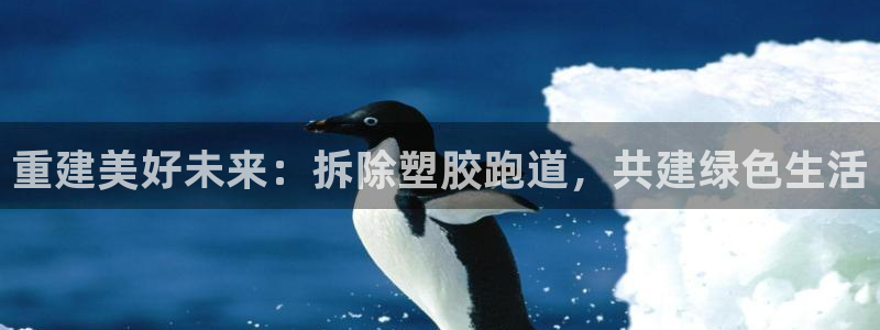 红足1世手机板：重建美好未来：拆除塑胶跑道，共建绿色生活