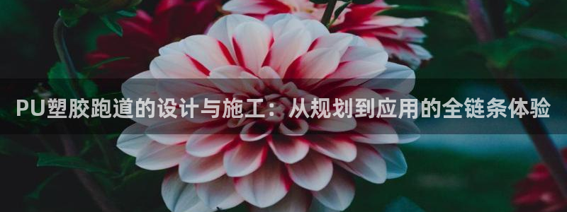红足一1世皇冠登录：PU塑胶跑道的设计与施工：从规划到应用的全链条体验