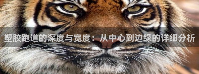 红足一1世66814：塑胶跑道的深度与宽度：从中心到边缘的详细分析