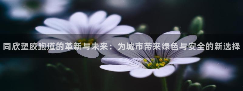 百度红足一1世：同欣塑胶跑道的革新与未来：为城市带来绿色与安全的新选择