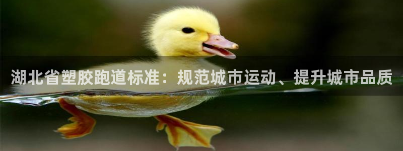 红足1世足球比分预测：湖北省塑胶跑道标准：规范城市运动、提升城市品质