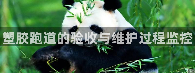 红足一丰：塑胶跑道的验收与维护过程监控
