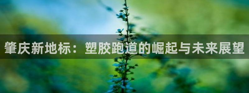 333814红足1世：肇庆新地标：塑胶跑道的崛起与未来展望