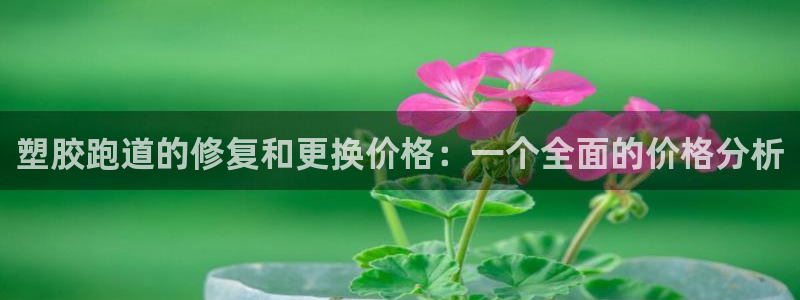 红足1世手足球比分：塑胶跑道的修复和更换价格：一个全面的价格分析