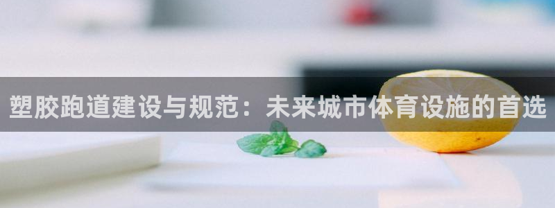 66814红足：塑胶跑道建设与规范：未来城市体育设施的首选