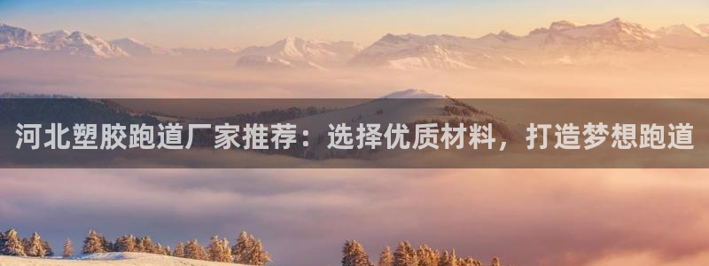 红足一1世官网比分：河北塑胶跑道厂家推荐：选择优质材料，打造梦想跑道
