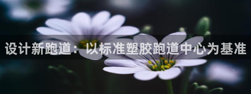 红足一1世666814最新结果：设计新跑道：以标准塑胶跑道中心为基准