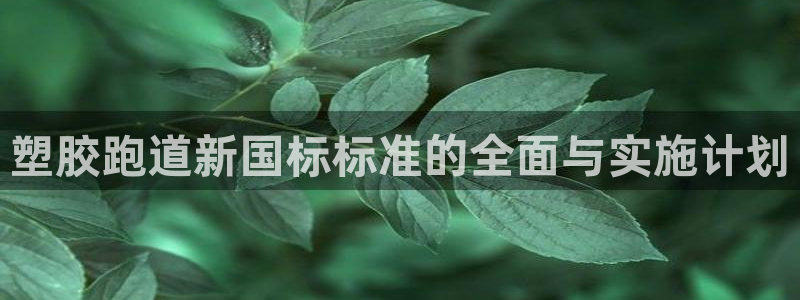 红足网足球直播：塑胶跑道新国标标准的全面与实施计划