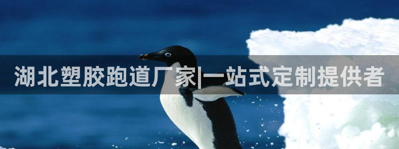 红足一1世平台：湖北塑胶跑道厂家|一站式定制提供者
