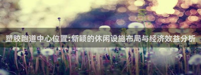 红足1一世红：塑胶跑道中心位置:新颖的休闲设施布局与经济效益分析