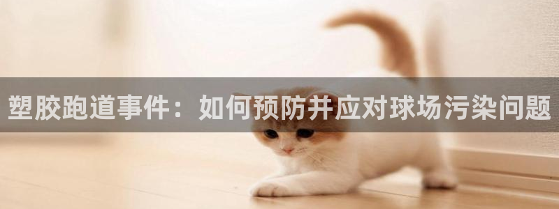 红足一比分网：塑胶跑道事件：如何预防并应对球场污染问题