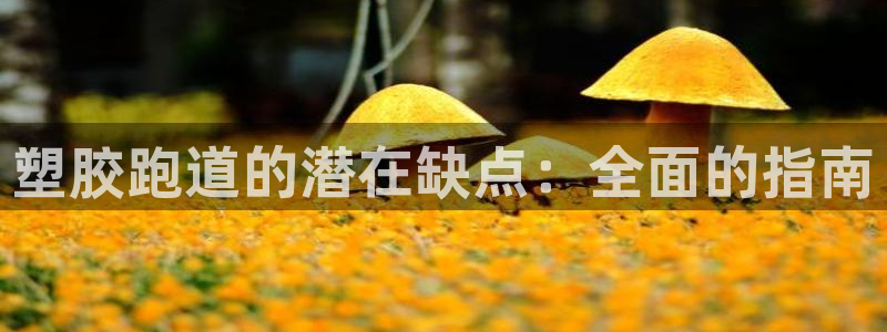 红世一足球比分:塑胶跑道的潜在缺点:全面的指南