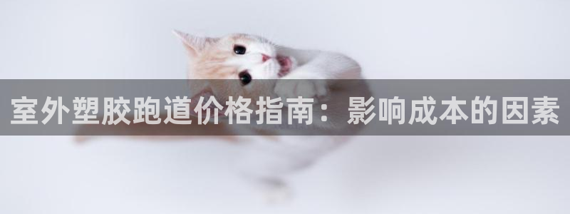 红足一1世比分球探:室外塑胶跑道价格指南:影响成本的因素