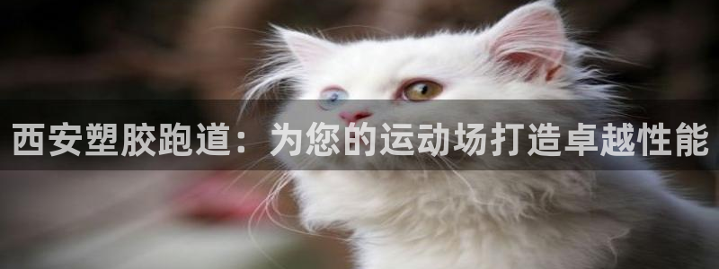 红足1世手机板：西安塑胶跑道：为您的运动场打造卓越性能