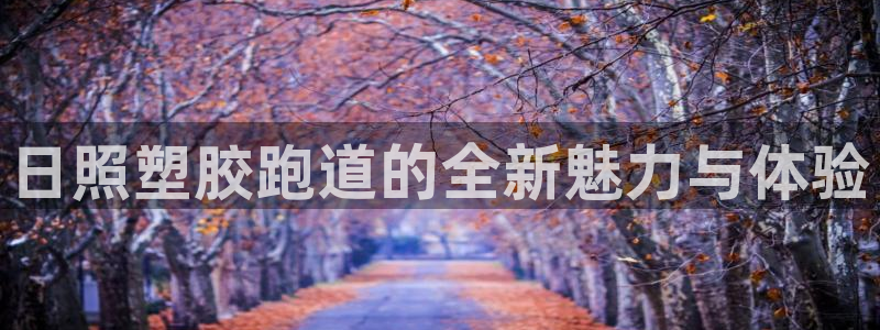 百度红足一1是干什么的:日照塑胶跑道的全新魅力与体验