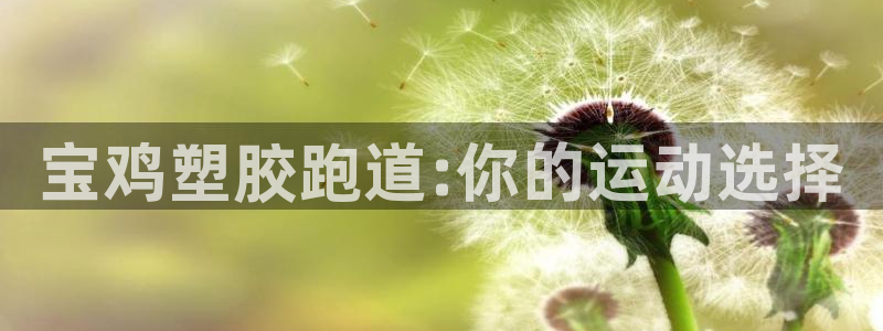 333814红足1世：宝鸡塑胶跑道:你的运动选择