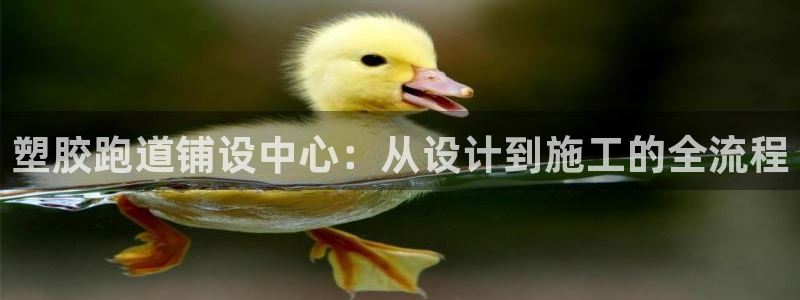 333814红·足一世比分：塑胶跑道铺设中心：从设计到施工的全流程