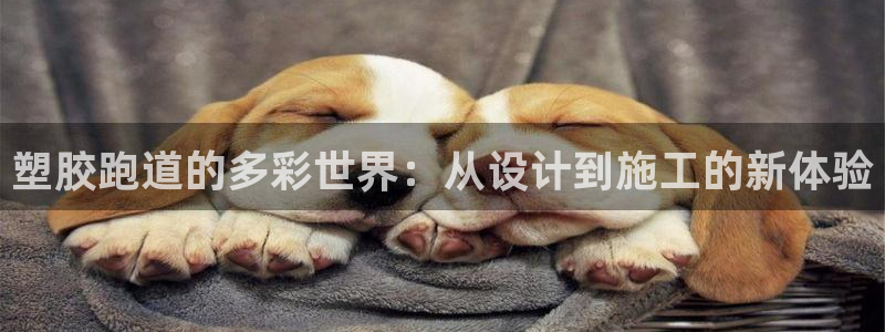 红足1世足球比分预测：塑胶跑道的多彩世界：从设计到施工的新体验