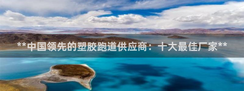 红足i世足球手机网：**中国领先的塑胶跑道供应商：十大最佳厂家**