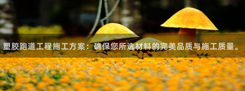 红足网足球直播：塑胶跑道工程施工方案：确保您所选材料的完美品质与施工质量。