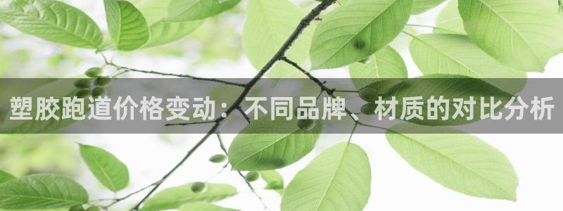 红足1世足球：塑胶跑道价格变动：不同品牌、材质的对比分析