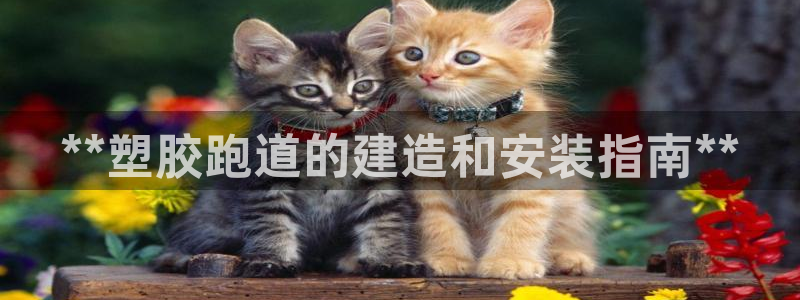 红足网足球直播：**塑胶跑道的建造和安装指南**