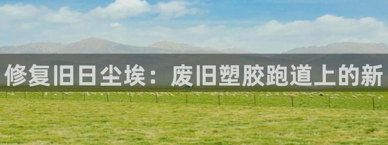 百度红足一1是为什么：修复旧日尘埃：废旧塑胶跑道上的新