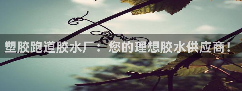 红足1世手机版下载：塑胶跑道胶水厂：您的理想胶水供应商！