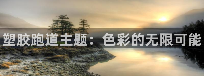 百度红足一1视频在线观看：塑胶跑道主题：色彩的无限可能