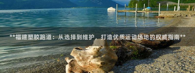 红足网足球直播：**福建塑胶跑道：从选择到维护，打造优质运动场地的权威指南**