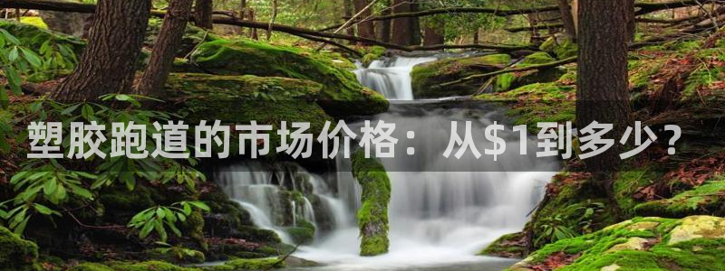 红足1世手机版下载：塑胶跑道的市场价格：从$1到多少？