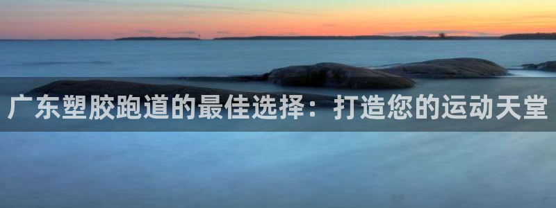 新2足球平台出租网站：广东塑胶跑道的最佳选择：打造您的运动天堂