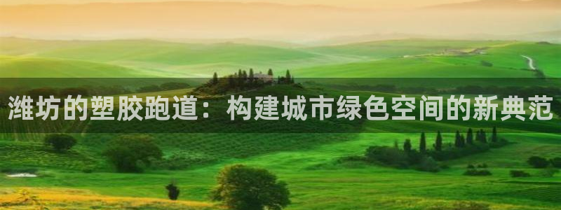 333814红·足一世比分：潍坊的塑胶跑道：构建城市绿色空间的新典范