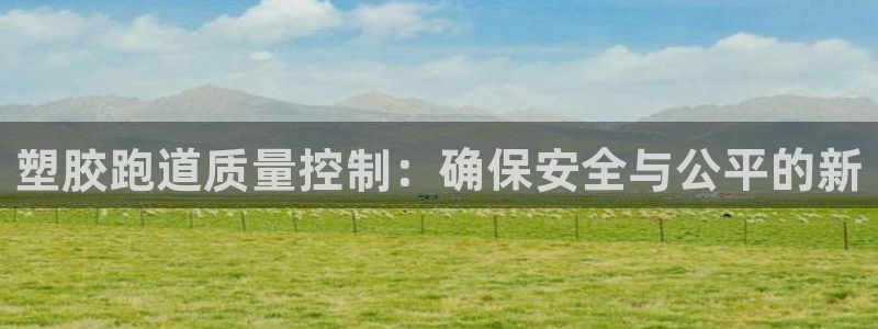 红足1世手足球比分：塑胶跑道质量控制：确保安全与公平的新
