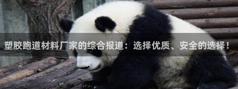 红足一1世手机版新皇冠：塑胶跑道材料厂家的综合报道：选择优质、安全的选择！