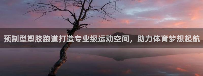 红足1世足球比分 localhost：预制型塑胶跑道打造专业级运动空间，助力体育梦想起航